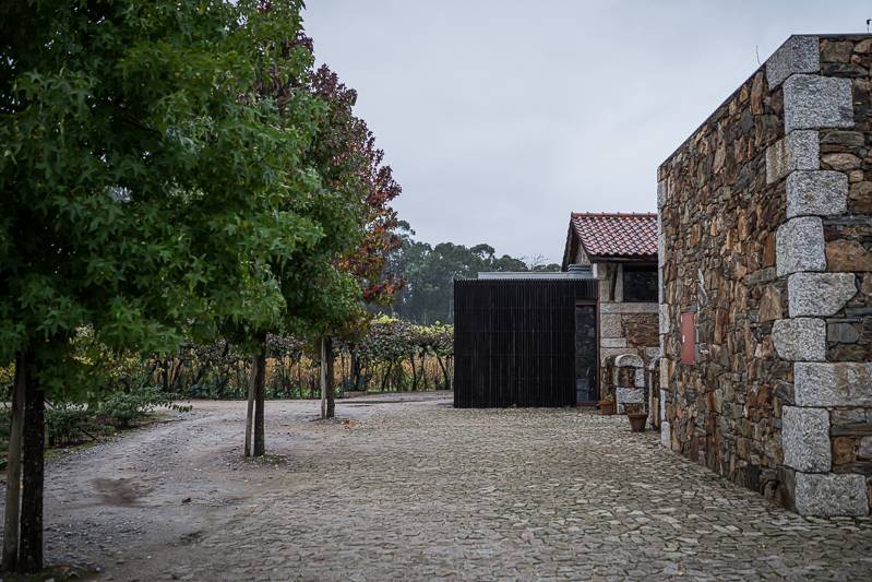 Vinho Verde Weinreise Portugal trickytine