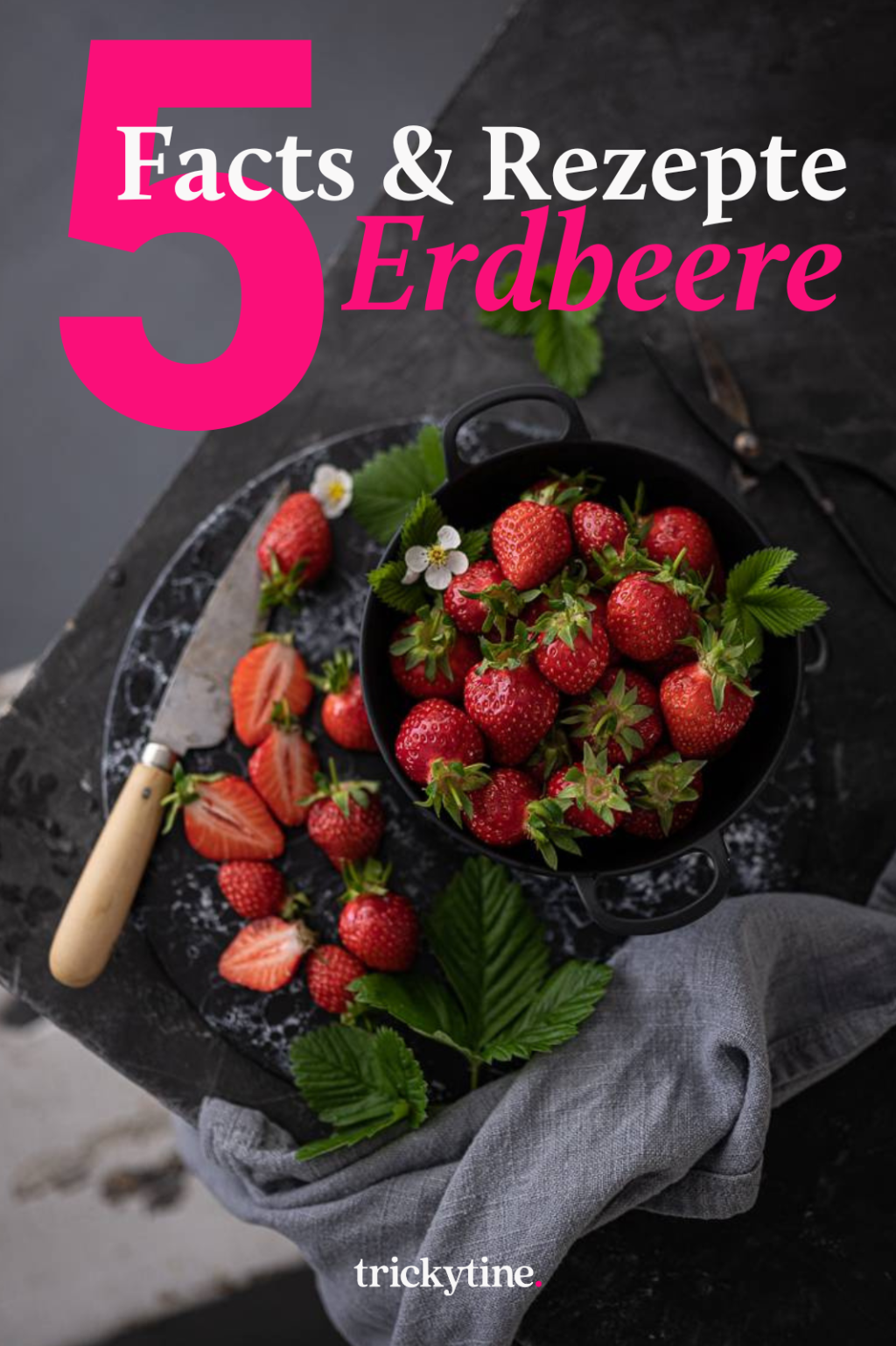 5 Erdbeer Facts und Rezepte trickytine