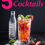 5 Sommer Cocktails trickytine