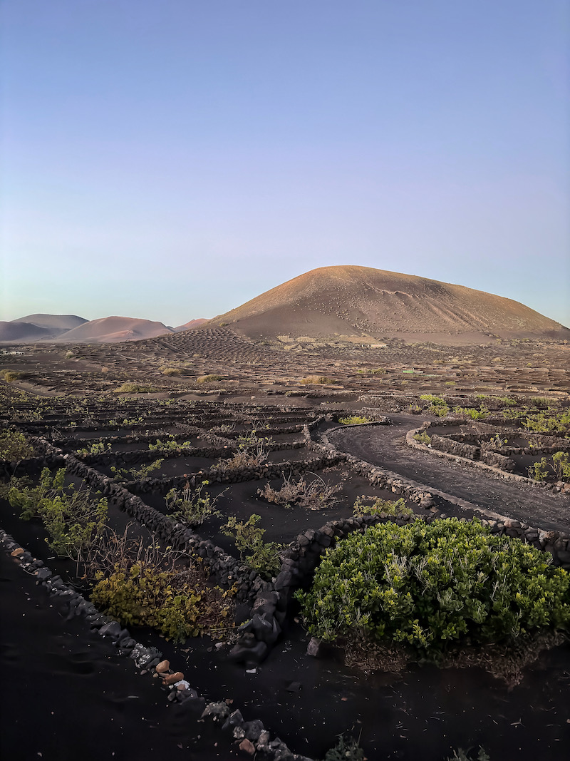 La Geria Lanzarote trickytine Vulkan