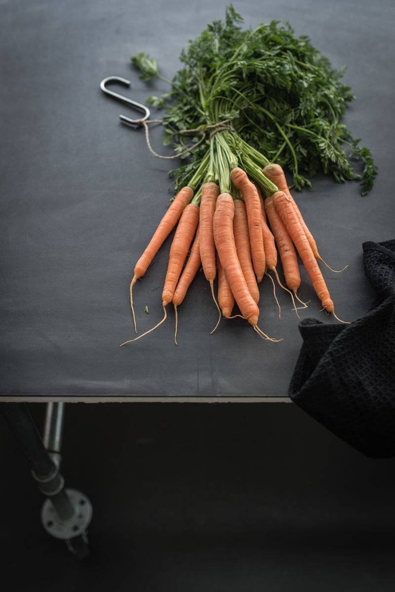 Saisonale Rezepte im Februar Karottensuppe trickytine